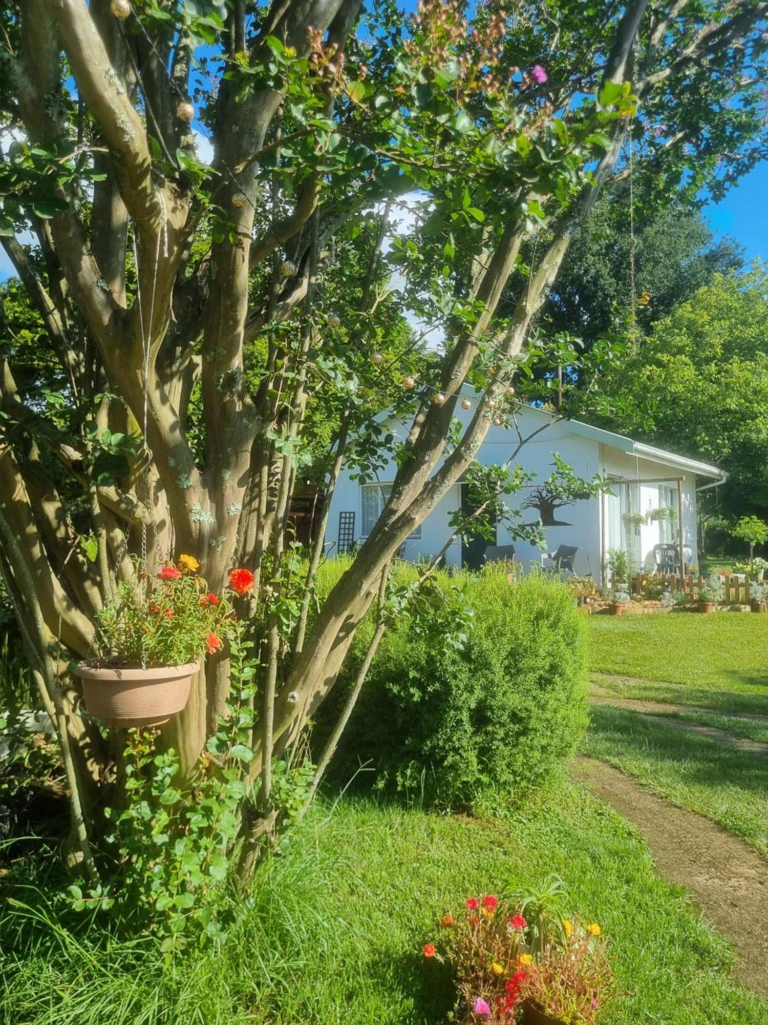 The Cottage On The Corner ไฮม์วิลล์ ภายนอก รูปภาพ